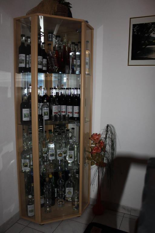 Haus Kammerlander Appartement